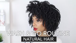 My Wash amp Go Routine  TightlyCoiled Natural Hair 4a4b4c [upl. by Alidus805]