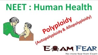 NEET Biology Human Health  Polyploidy autopolyploidy and Allopolyploidy [upl. by Itteb]