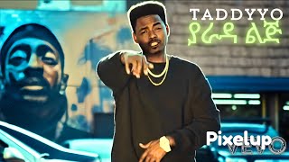 TADDY YO YARADA LIJ ቴዲ ዮ ያራዳ ልጅ Music Video official [upl. by Rafaj]