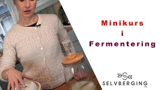 Minikurs i fermentering  hjemmelaget surkål [upl. by Dacie]