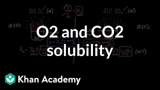 O2 and CO2 solubility  Respiratory system physiology  NCLEXRN  Khan Academy [upl. by French607]