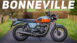 The Triumph Bonneville T100 The Ultimate Modern Classic [upl. by Kosey]