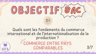 BAC Commerce International  Commerce entre pays comparables [upl. by Ainoyek]