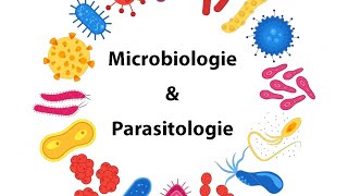 Parasitologie  Cours microbiologie parasitologie  IFCSISPITS [upl. by Neehsuan485]