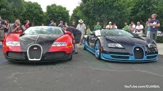 1200HP Bugatti Veyron Grand Sport Vitesse  Start up  Revs [upl. by Stu]