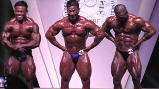 HKFBF 2014 Invitational  Pose Down Below 80kg [upl. by Erlandson583]