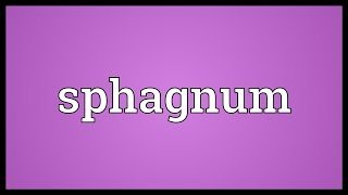 Sphagnum Meaning [upl. by Tenrag27]