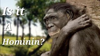 Monkey to Man  Episode 5 The Graecopithecus debate [upl. by Sivolc156]