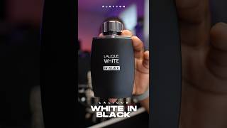 Lanique White In Black  Not Quite Layton but Still 🔥 parfumsdemarly layton clonefragrances [upl. by Ynwat475]