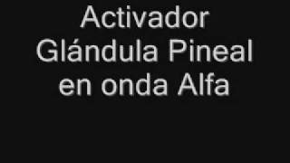 Activador glándula Pineal 45 [upl. by Damek]