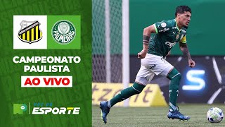 NOVORIZONTINO 1 X 1 PALMEIRAS  PAULISTÃO 2024  NARRAÇÃO VOZ DO ESPORTE [upl. by Notserp667]