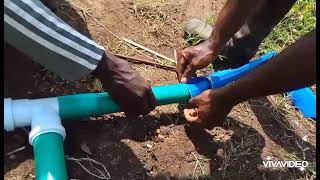 Drip Irrigation system setup dripirrigation dripirrigationsystem farming [upl. by Anaillil895]