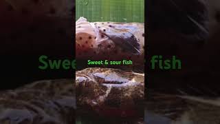 Sweet and sour fish grouper  easy to cook yummy [upl. by Lorette715]