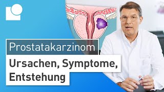 Prostatakarzinom einfach erklärt Entstehung Symptome amp Risikofaktoren  Prostatakrebs [upl. by Kho]