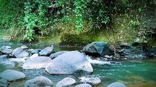 Relaxing River  Water Stream Sounds  Meditate StudyWork [upl. by Aenehs]