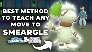 The BEST METHOD To Teach SMEARGLE Any Move in Pokemon Brilliant Diamond and Shining Pearl [upl. by Polash851]