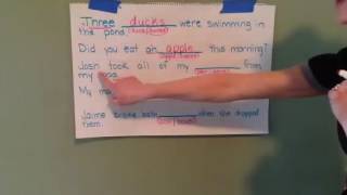 Writing singular and plural words in sentences [upl. by Lonna]