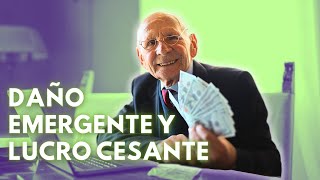 ¡En solo 14 MINUTOS aprende a defender a tus clientes aplicando DAÑO EMERGENTE y LUCRO CESANTE [upl. by Griffis]