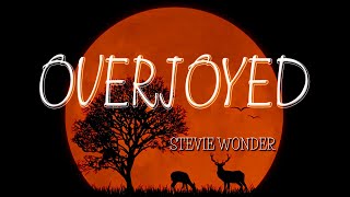 OVERJOYED  karaoke version  popularized by STEVIE WONDER [upl. by Bael802]