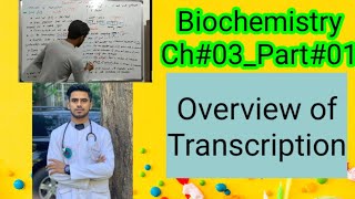 Overview of TranscriptionBiochemistryCh03Part01 [upl. by Kcirdde]