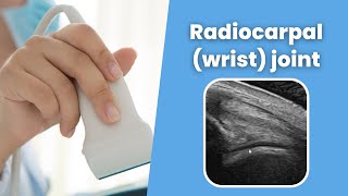 Radiocarpal wrist joint  MSKUS  How to scan the Radiocarpal wrist joint  2 minute Tuesday [upl. by Ahsilram]