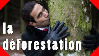 AMI DES LOBBIES 1  La déforestation [upl. by Naes]