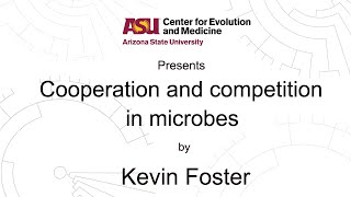 Cooperation and competition in microbes  Kevin Foster [upl. by Fidelis]