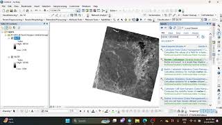 Calculating NDVI of Landsat Image in ArcMap  GIS [upl. by Xuaegram589]