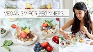 BEGINNERS GUIDE TO VEGANISM » how to go vegan [upl. by Sille]