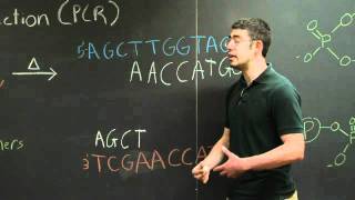 Polymerase Chain Reaction PCR  MIT 701SC Fundamentals of Biology [upl. by Radnaxela]