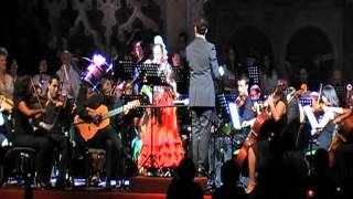 Carmen Navarro con la Orquesta Sinfónica Amigos de la Música de Algeciras [upl. by Yv]