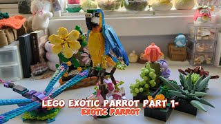 Lego Exotic Parrot Part 1 Parrot [upl. by Ydnab]