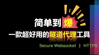 一款好用易用简单到爆的Websocket VPN隧道代理工具：wstunnel，单可执行文件、无需安装、参数少而简洁、Rust重写，客户端采用动态socks5提供本地代理转发 [upl. by Theresina]