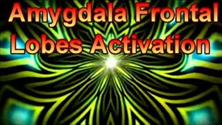 Amygdala Frontal Lobes ActivationGOLDEN MEDITATIONOpen your Third Eye PINEALWAVEPositive Vibes [upl. by Nwahser]