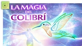 LA MAGIA DEL COLIBRÍ y su significado [upl. by Ecinreb]