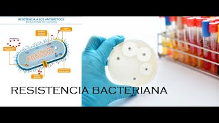 Resistencia Bacteriana [upl. by Mik]