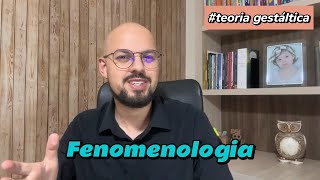 Aula 01 Fenomenologia teoriagestáltica [upl. by Haden]