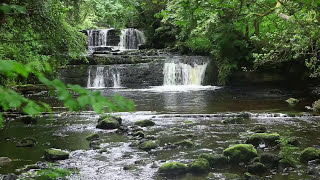 Forest Waterfall Nature Sounds for Sleeping  Relaxing Water Flowing Sound Mindfulness Meditation [upl. by Herold]