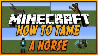 ✔ How To Tame and Ride a Horse in Minecraft [upl. by Adnauqal]