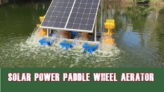 Solar Power  Paddle Wheel Pond Aerator [upl. by Petite717]