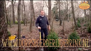 Duurzame kerstboom van Dorpsboerderij de Brink [upl. by Lan]