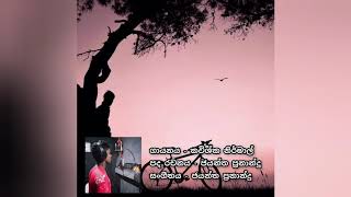 Mage Tharuna Wayase මගෙ තරුණ වයසේ  Kavishka Nirmal Official Lyrics Video [upl. by Algie]