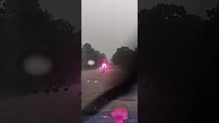 Park ranger clears road of geese in Williamsburg Virginia [upl. by Riggall]