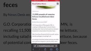 Romaine lettuce recalled over deer feces [upl. by Boarer]