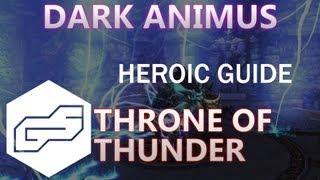 A Guide to Heroic Dark Animus VOX ToT [upl. by Foulk]