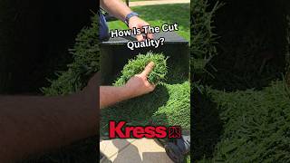 Kress 60V Lawn Mower How Is The Cut Quality [upl. by Rosanne]