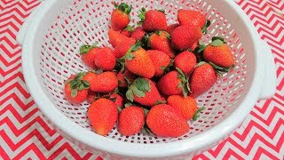 Como Desinfectar o Lavar Fresas Correctamente 🍓 HowToCleanStrawberriesCorrectly FruitmasDia8 [upl. by Shirlee]