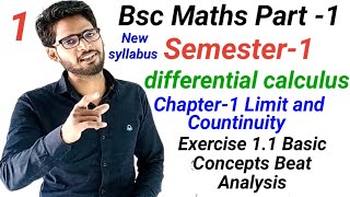 Bsc first year Maths  chapter 1 Limit and Continuity  Exercise 11 Basic Concept best Analysis [upl. by Talbott]