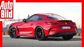 Zukunftsaussicht BMW Z4 M Coupé 2018 Details  Erklärung [upl. by Nylarad]