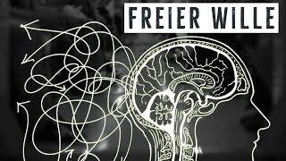 Freier Wille amp Determinismus – Warum ich das Problem nicht verstehe [upl. by Polard910]